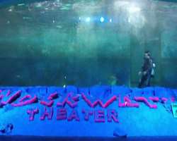 There is also an underwater theater where you can enjoy the Pirates and Cops show.